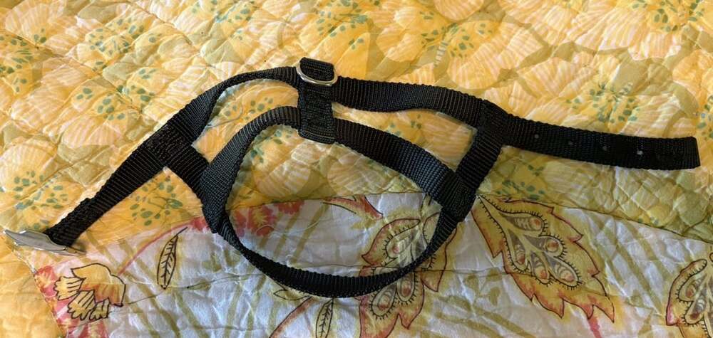 NWOT Unbranded Small Basic Step-In Dog Harness